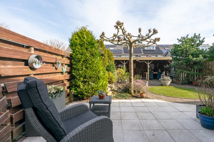 Foto 39 van Klokschildpad 26