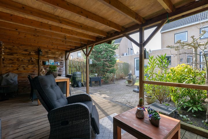 Foto 43 van Klokschildpad 26