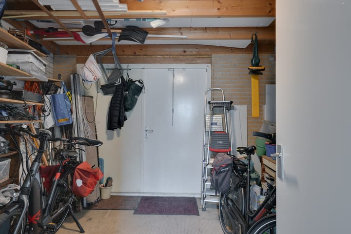 Foto 44 van Klokschildpad 26