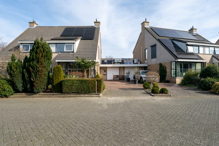 Foto 45 van Klokschildpad 26