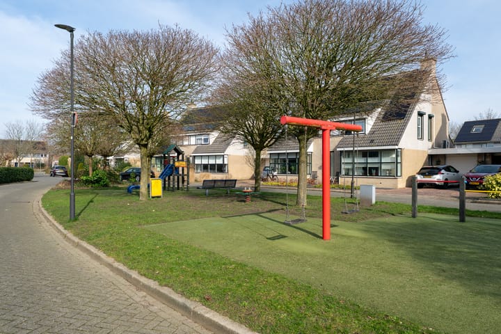 Foto 46 van Klokschildpad 26