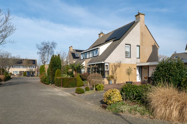 Foto 47 van Klokschildpad 26