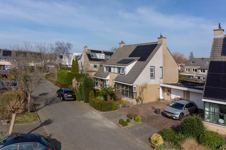 Foto 48 van Klokschildpad 26