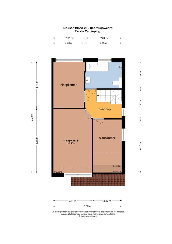 Foto 51 van Klokschildpad 26