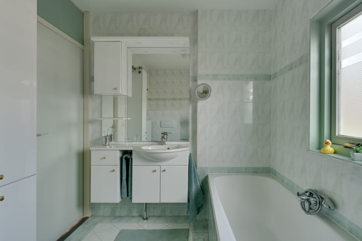 Foto 31 van Klokschildpad 26