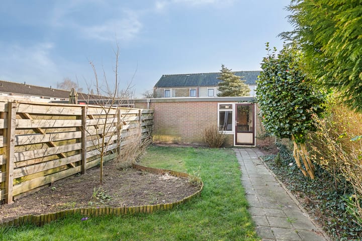 Foto 14 van Wuustwezelstraat 55