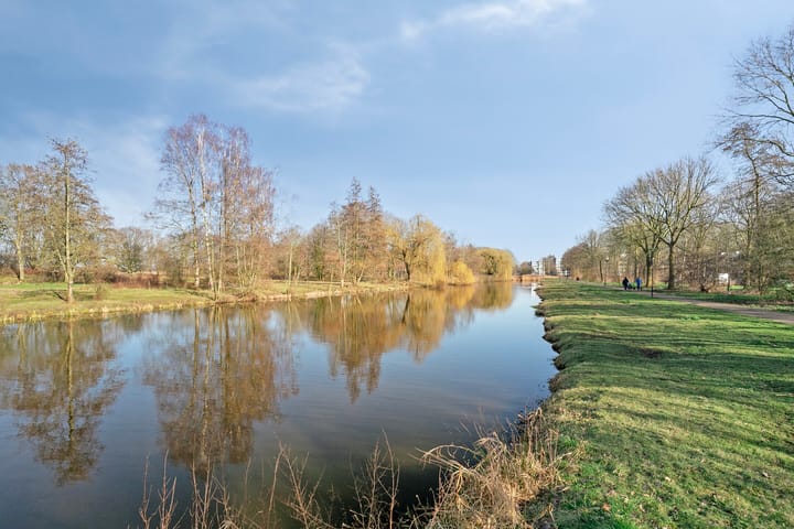 Foto 31 van Wuustwezelstraat 55