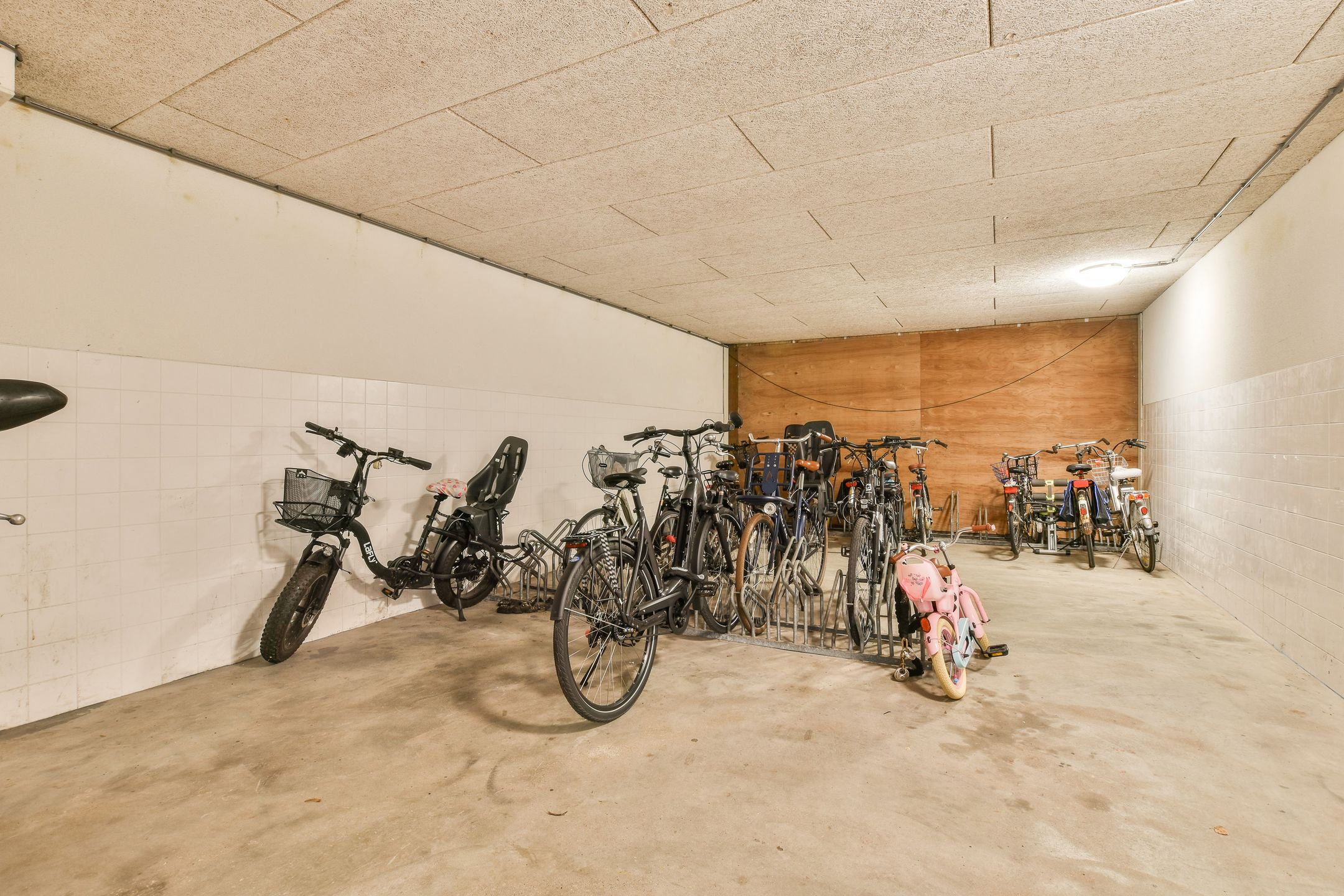 Photo 21 of Frissenstein 705