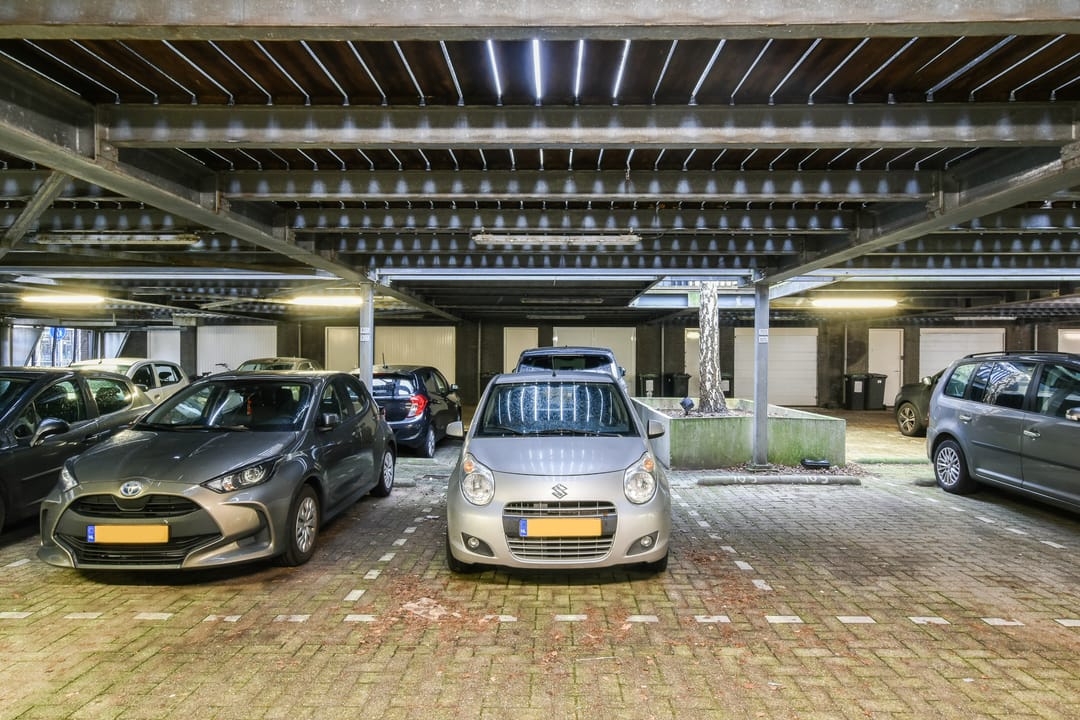 Photo 22 of Frissenstein 705