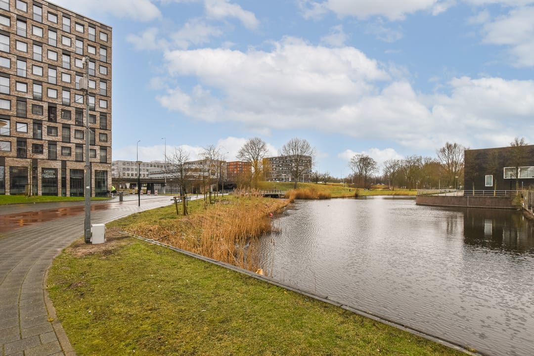 Photo 23 of Frissenstein 705