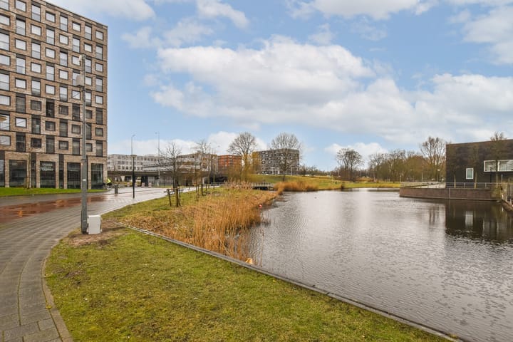 Foto 23 van Frissenstein 705