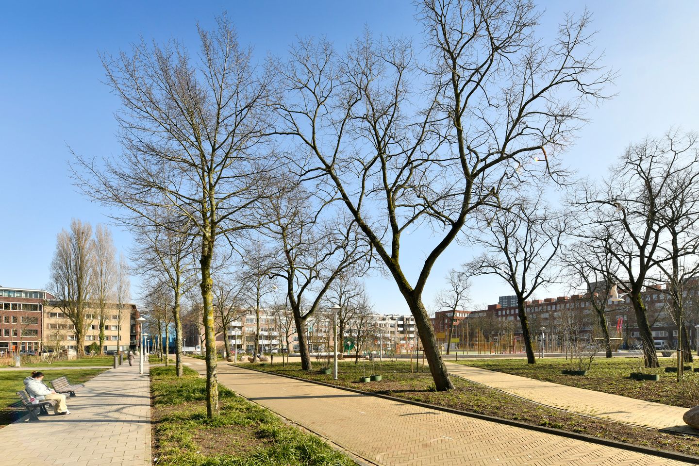 Foto 20 van Solostraat 59