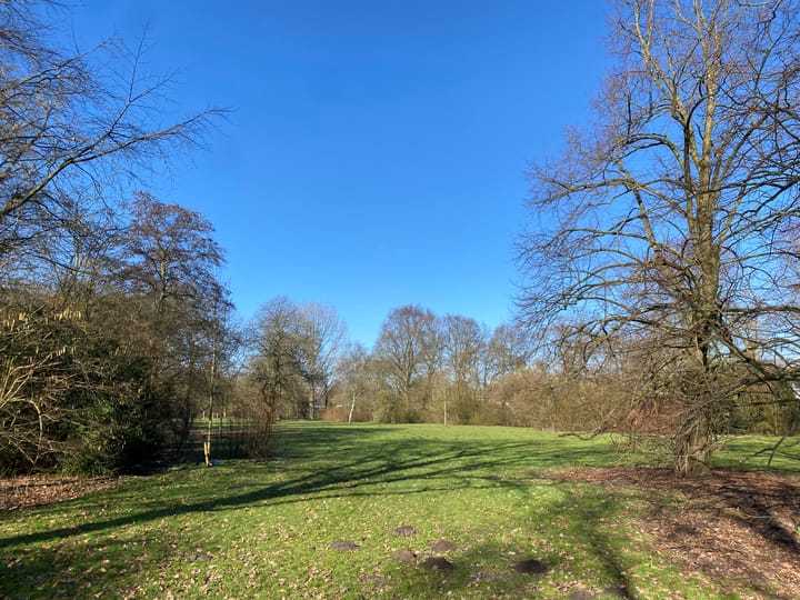 Foto 4 van Groot Blankenberg 19