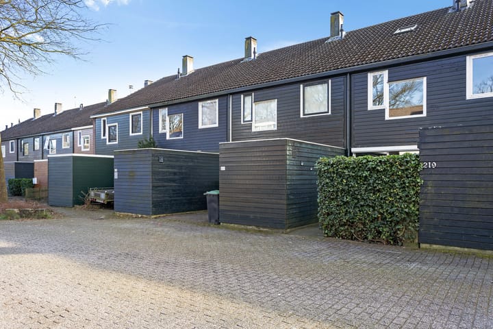 Photo 2 of Ruinerbrink 219