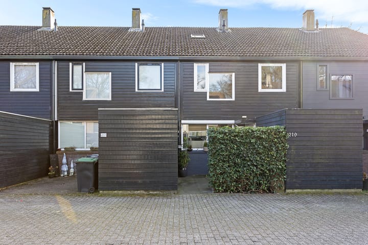 Photo 3 of Ruinerbrink 219