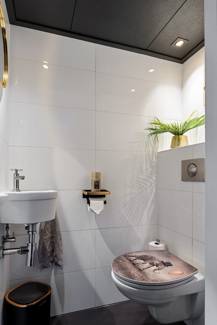 Photo 8 of Ruinerbrink 219