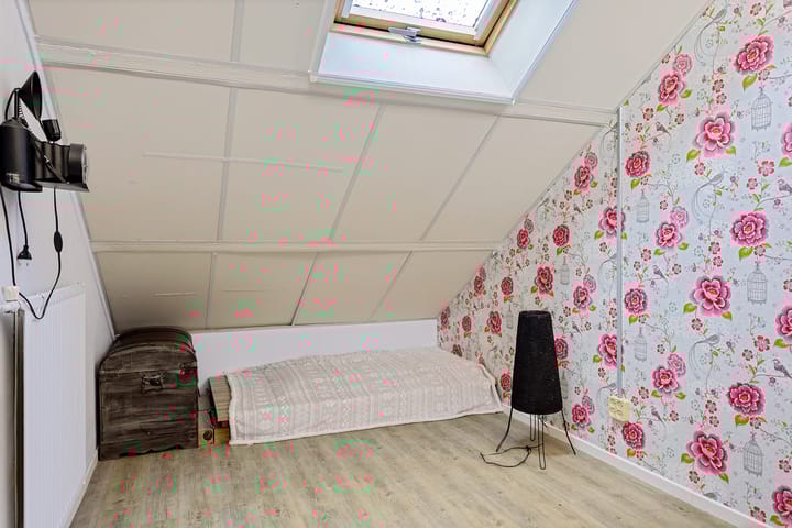 Photo 33 of Ruinerbrink 219