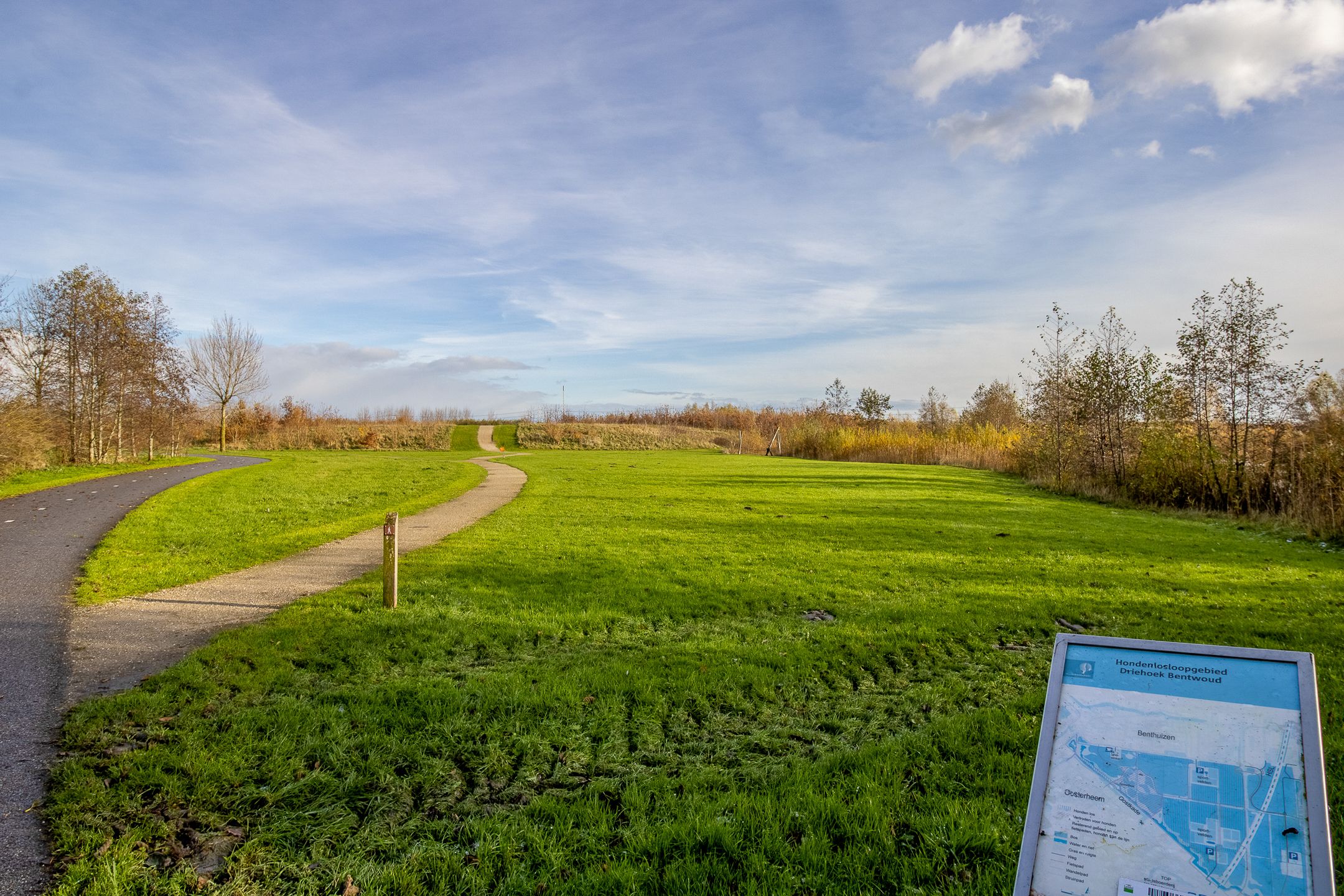 Foto 36 van Hazerswoudestraat 344