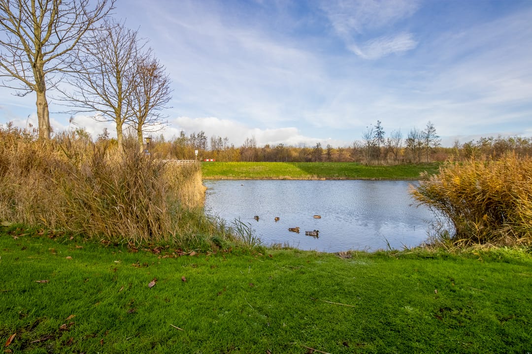 Foto 37 van Hazerswoudestraat 344