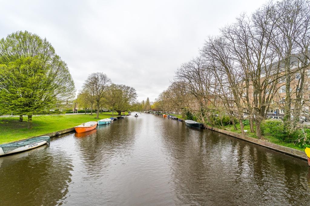 Foto 10 van Minervalaan 116