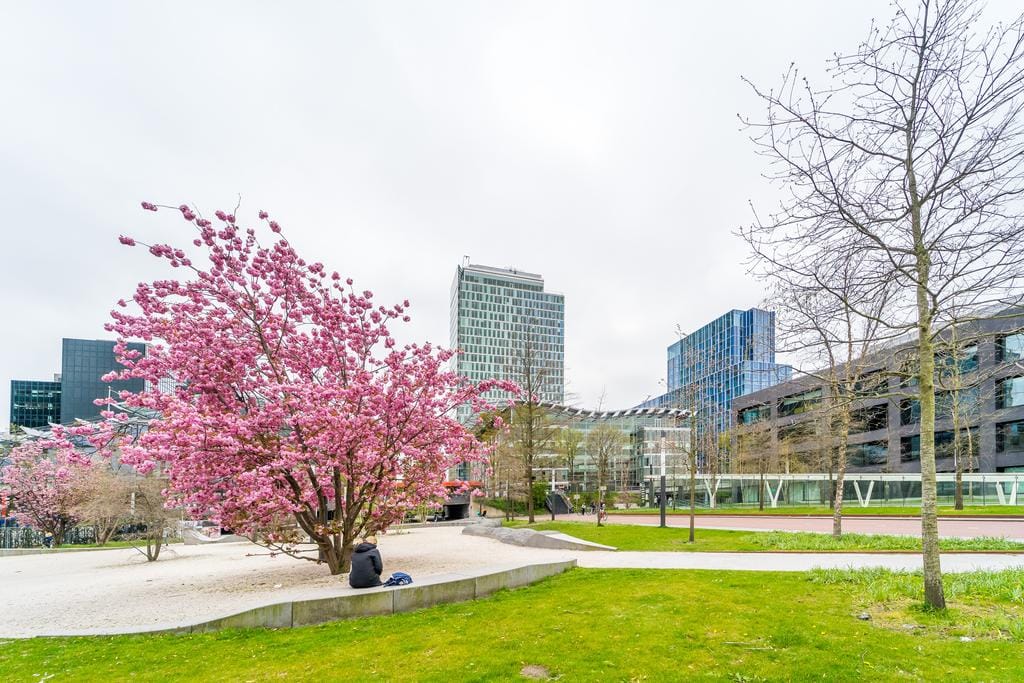 Foto 12 van Minervalaan 116