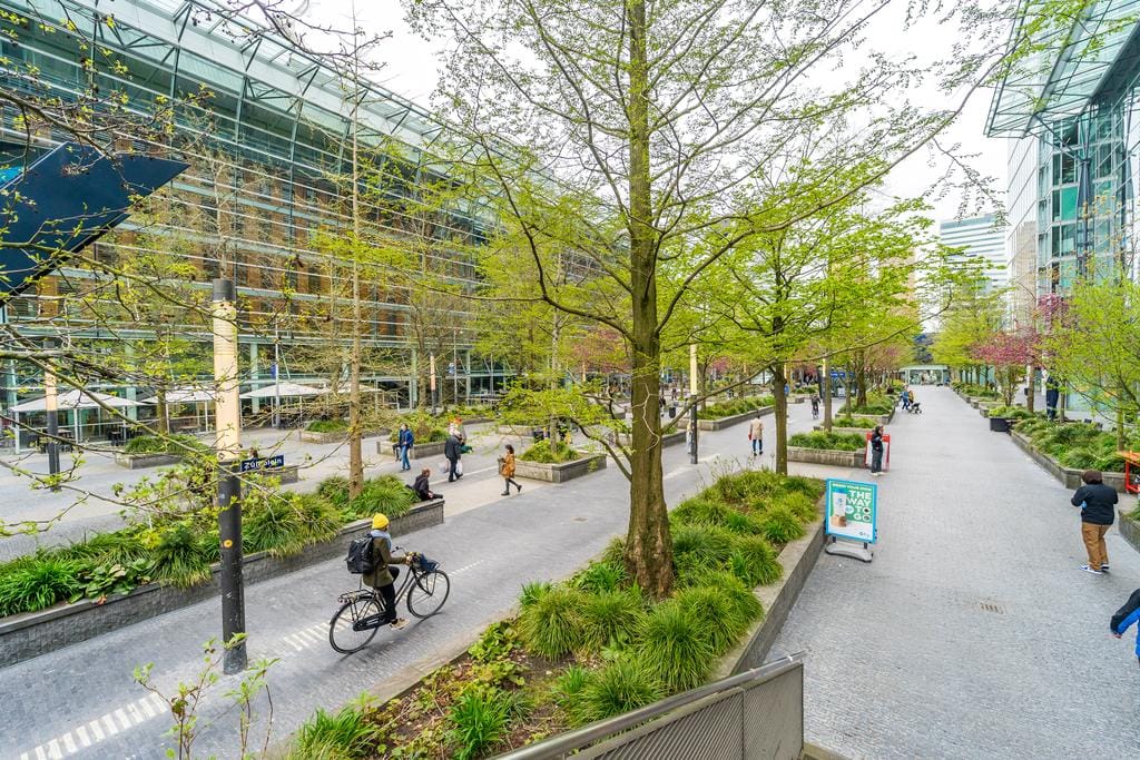 Foto 13 van Minervalaan 116