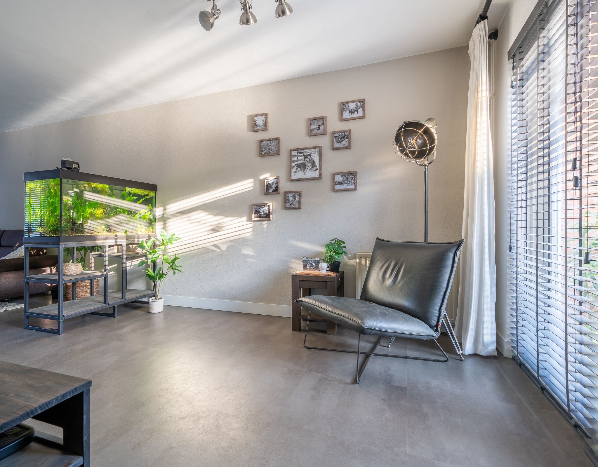 Foto 12 van Sint Janskruid 3