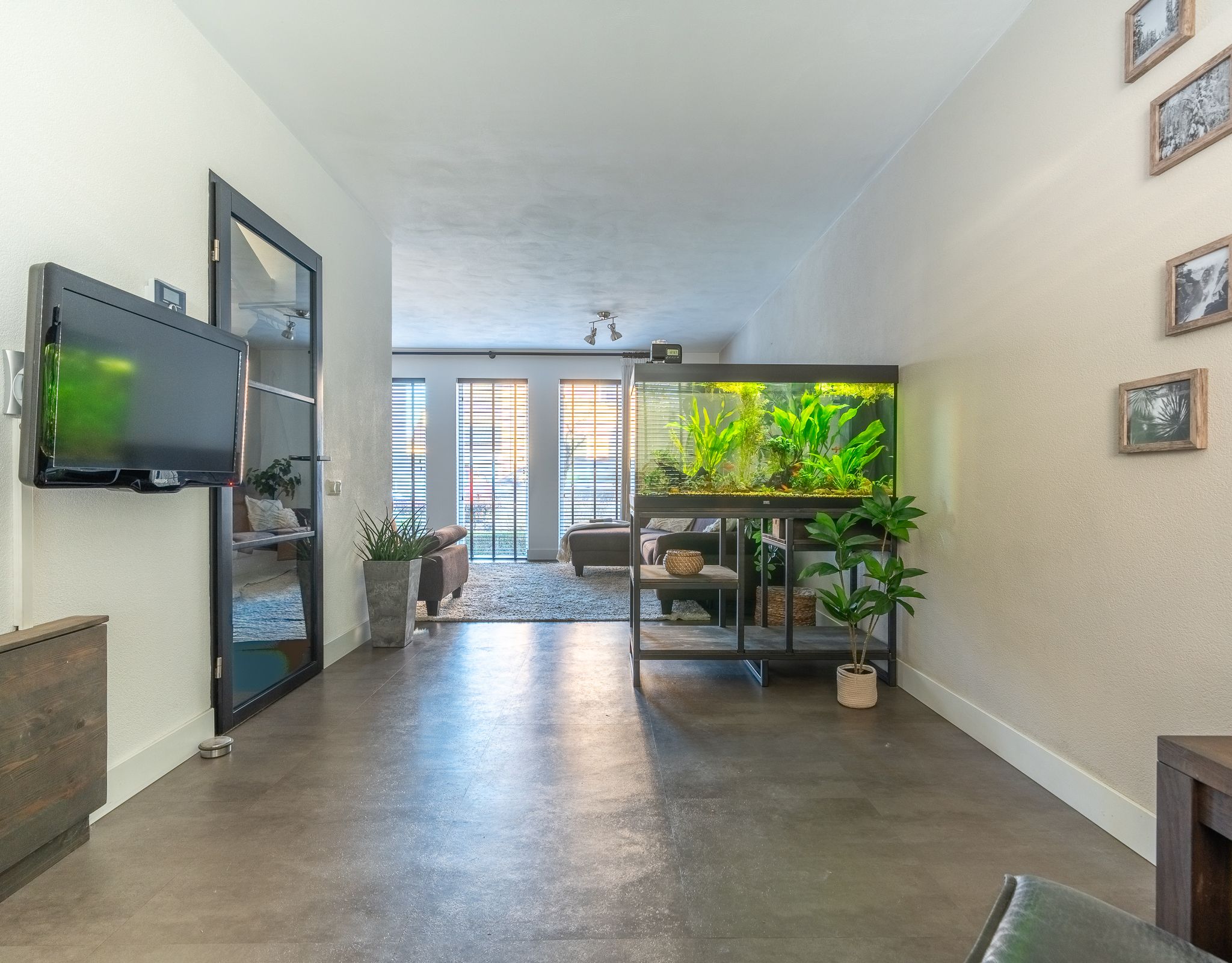 Foto 3 van Sint Janskruid 3