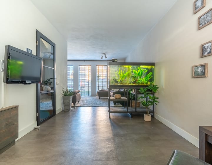 Foto 3 van Sint Janskruid 3