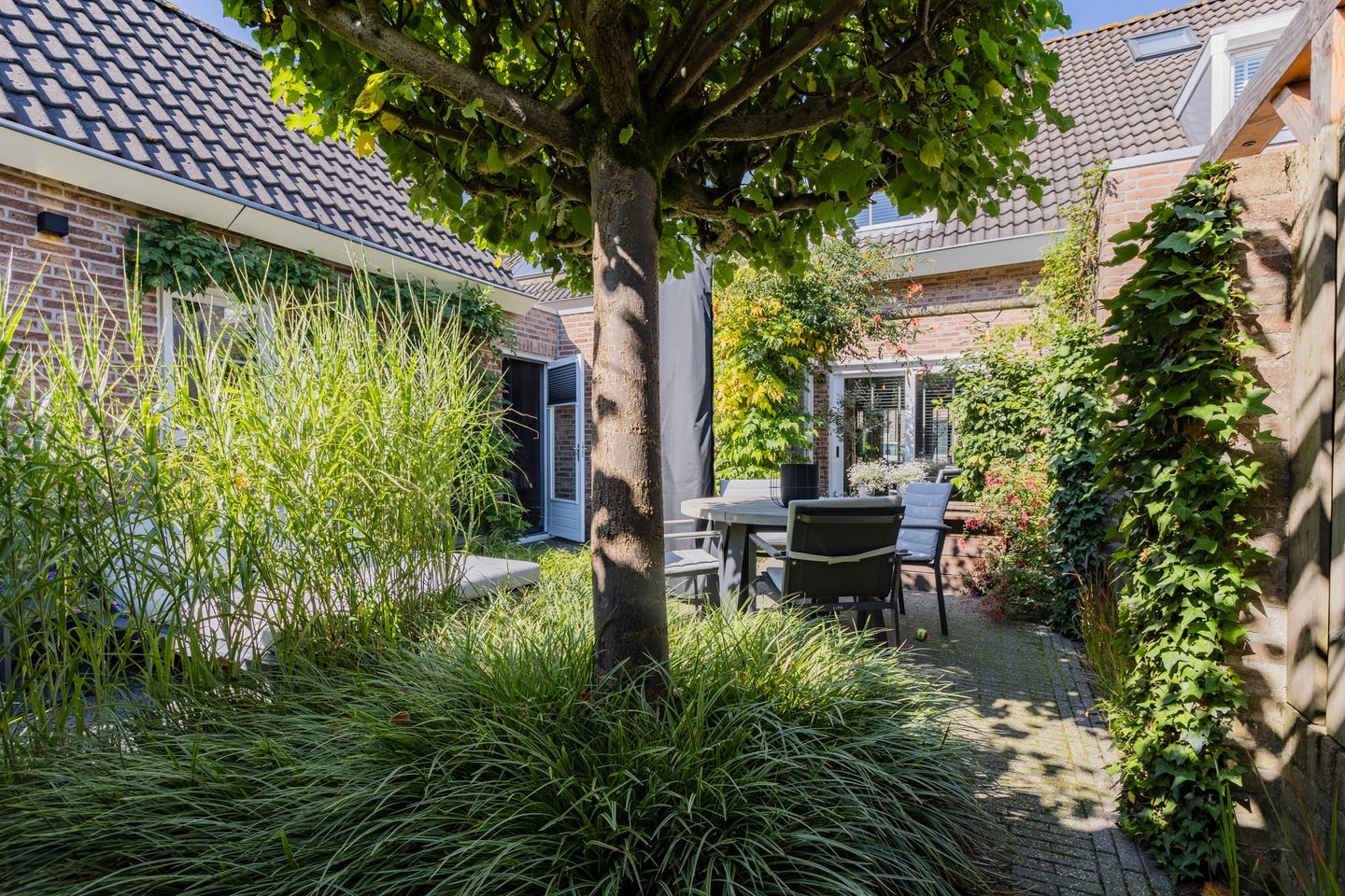 Foto 5 van Sint Janskruid 3