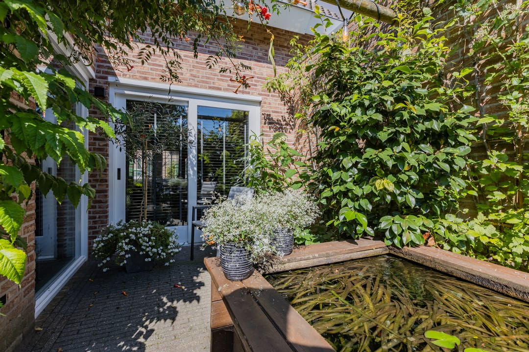 Foto 38 van Sint Janskruid 3