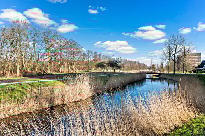 Foto 41 van Spechtlaan 379