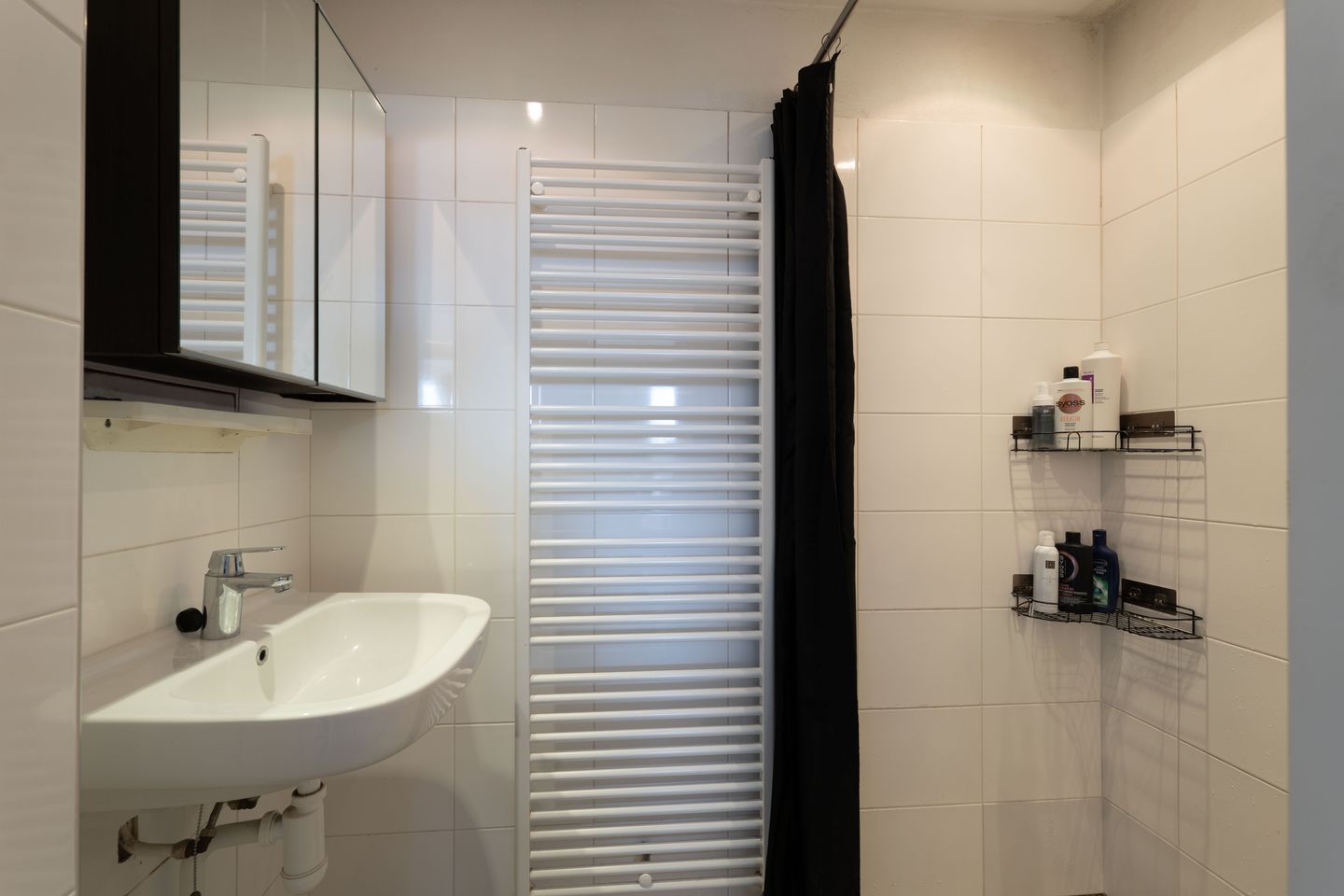 Photo 19 of Frans Halslaan 27-II