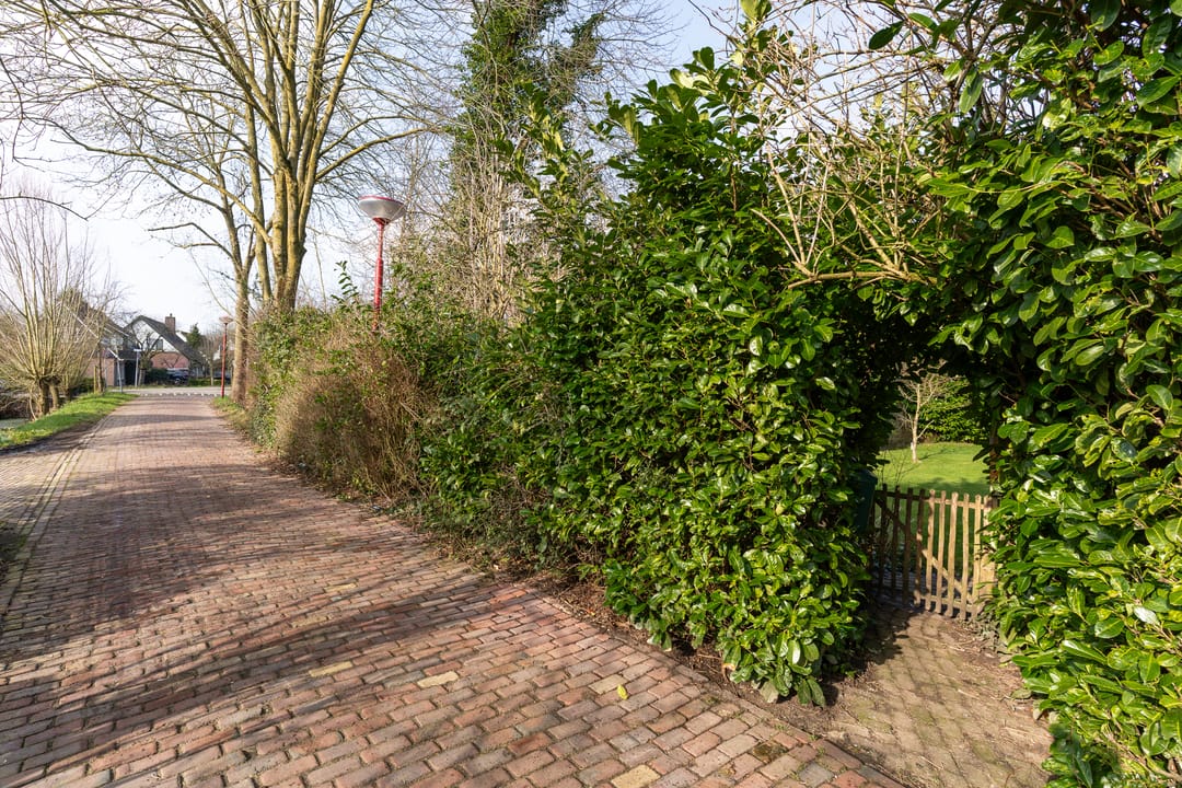 Foto 11 van Randijk 4