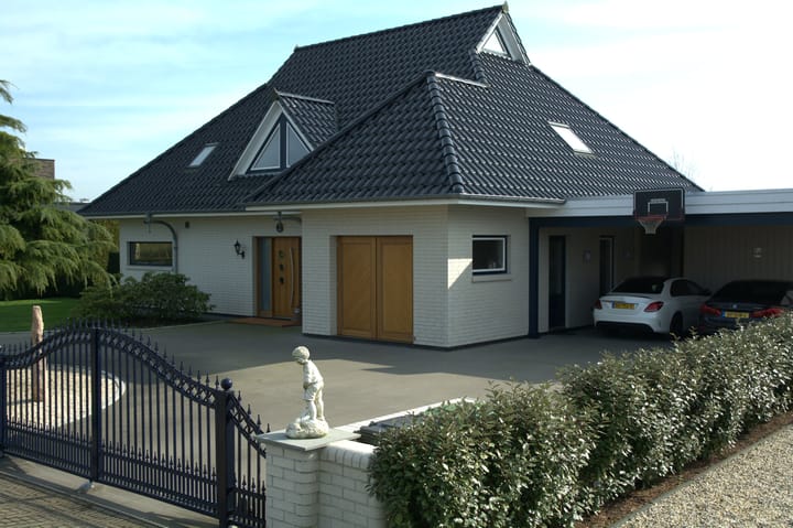 Foto 3 van Dotterbloem 2