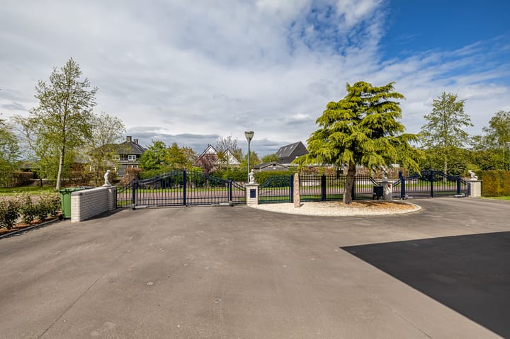 Foto 34 van Dotterbloem 2