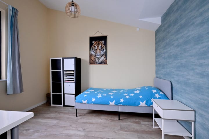 Foto 32 van Hoogeveenstraat 29