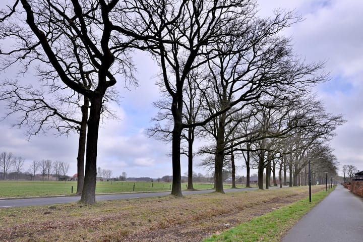 Foto 48 van Hoogeveenstraat 29