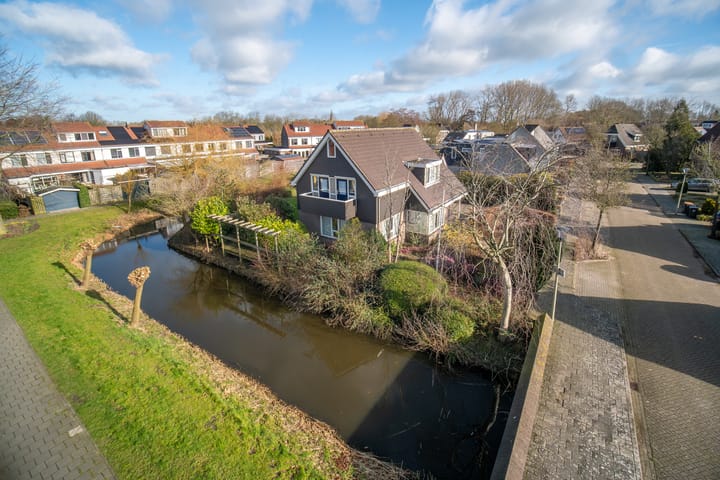 Photo 2 of Zwanebloem 1