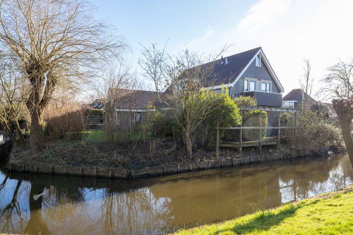 Photo 3 of Zwanebloem 1