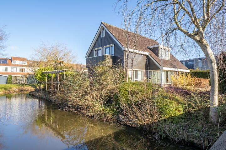 Photo 4 of Zwanebloem 1