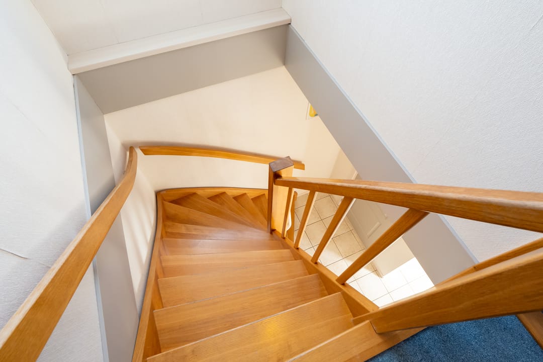 Photo 32 of Zwanebloem 1