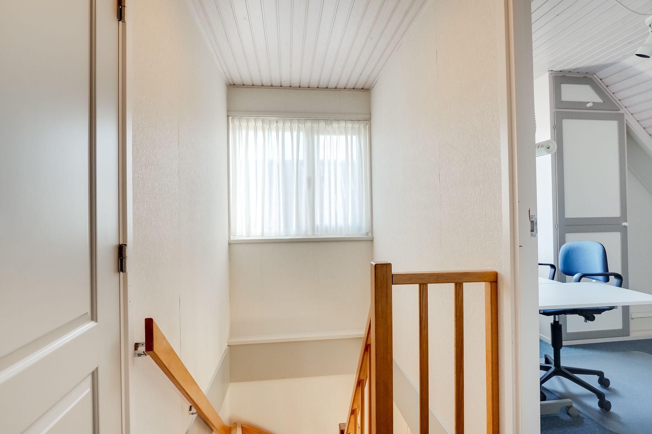 Photo 33 of Zwanebloem 1