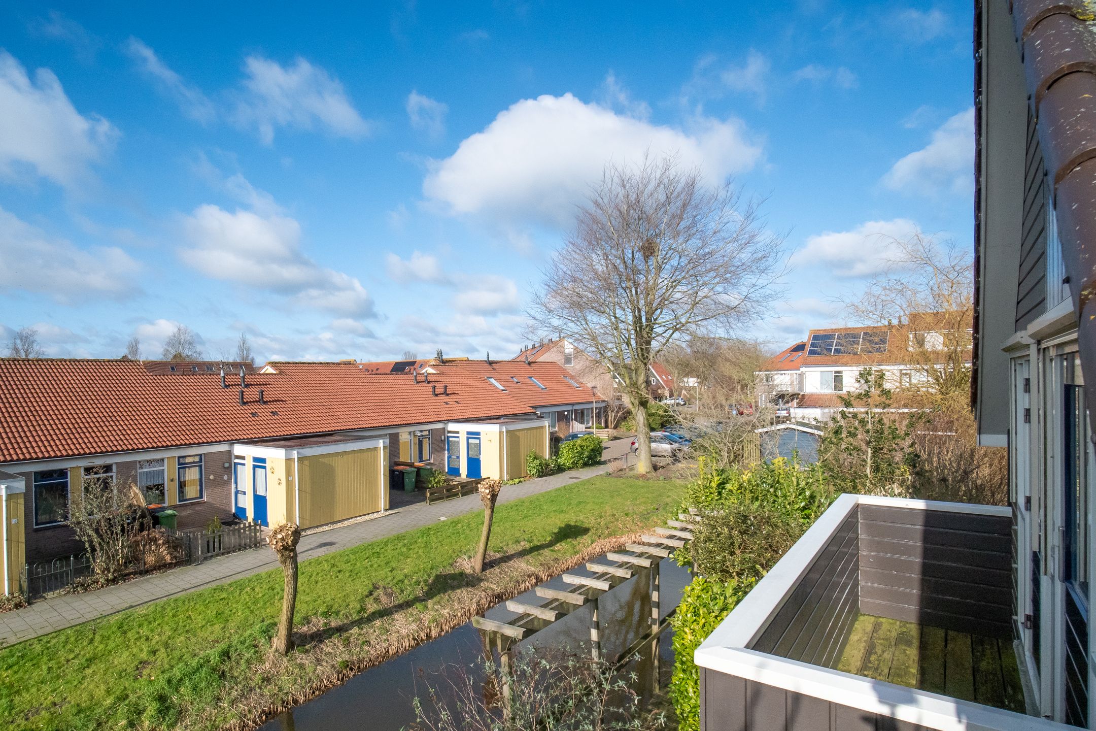 Photo 42 of Zwanebloem 1