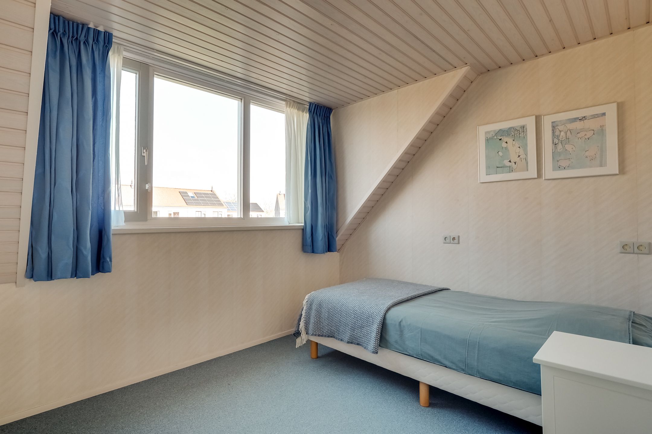 Photo 45 of Zwanebloem 1