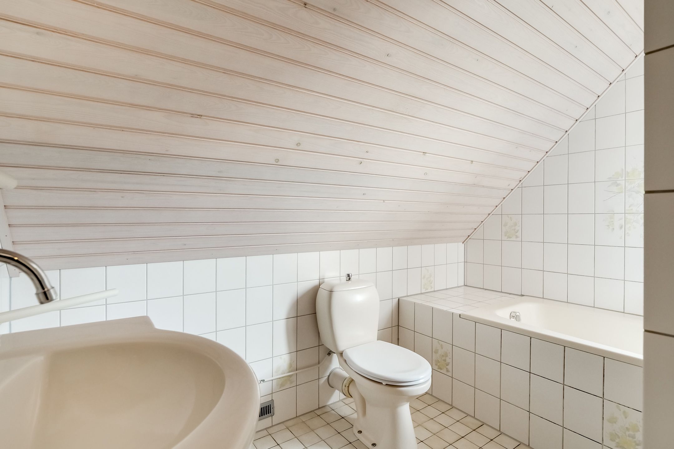 Photo 51 of Zwanebloem 1