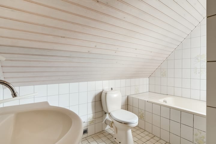 Foto 51 van Zwanebloem 1