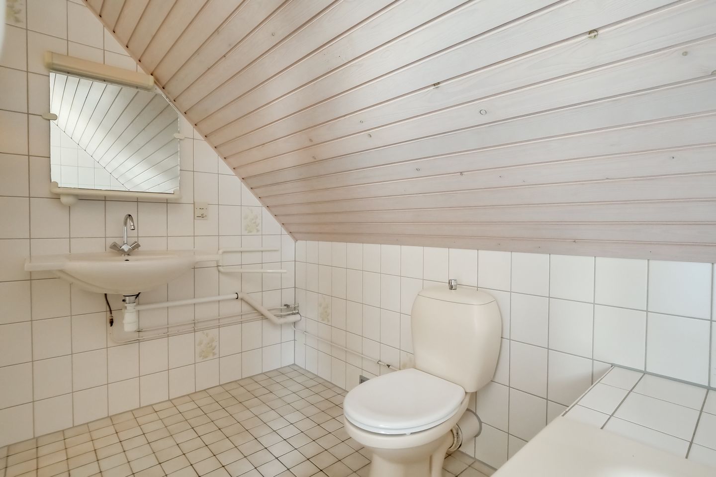 Photo 55 of Zwanebloem 1