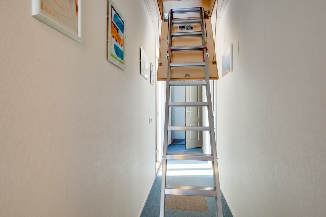 Photo 56 of Zwanebloem 1