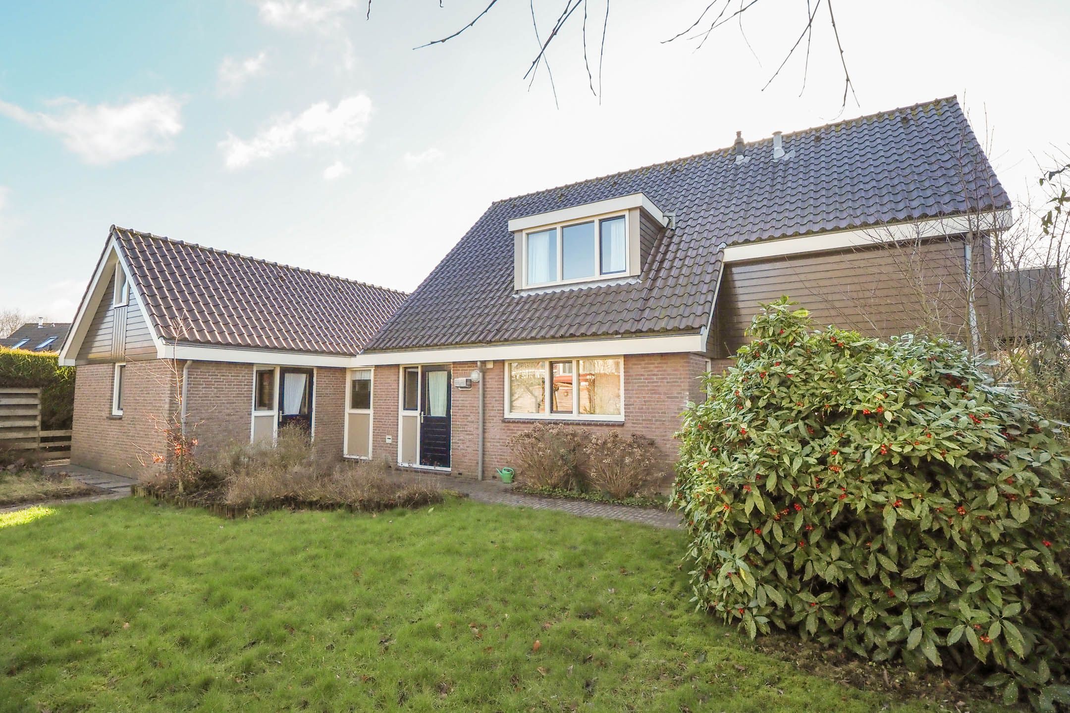 Photo 60 of Zwanebloem 1